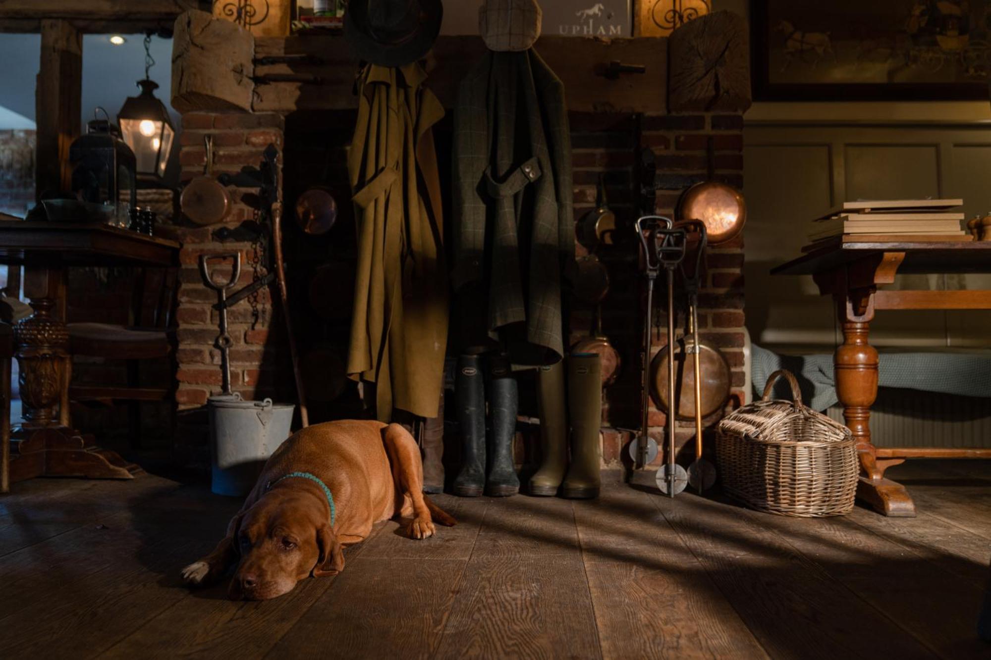 ホテル The Thomas Lord West Meon エクステリア 写真